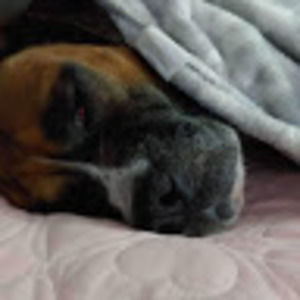 Meet your Posher, Trish